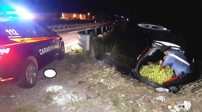 Licodia Eubea, inseguiti dai carabinieri abbandonano auto con 8 quintali di uva