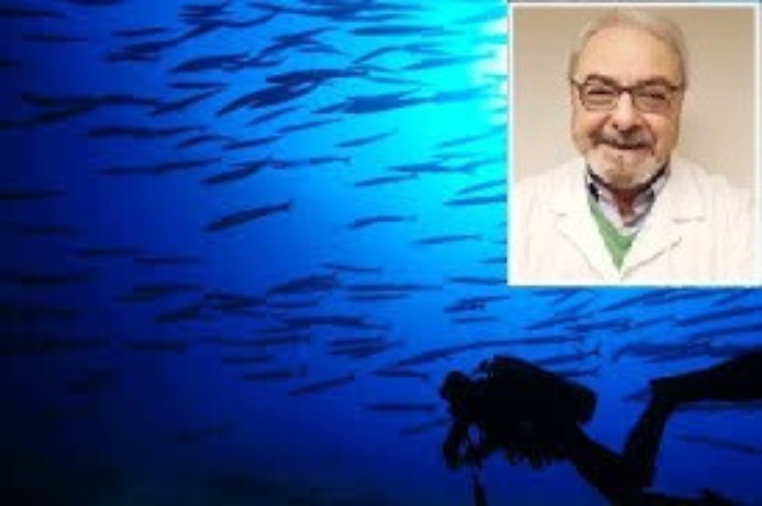 Ustica, medico muore per un malore durante un'immersione