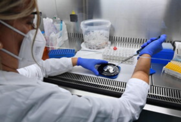 Covid, in Italia record di casi: in un solo giorno 34.505 contagi