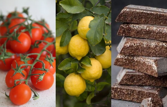 Tutto il Doc e l’Igp dell’Isola confluiscono nella Dos, la Denominazione d’origine siciliana