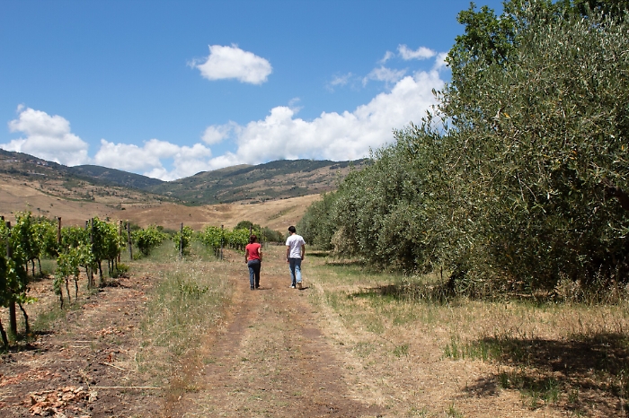 Il futuro del cibo: di qualità, a impatto zero ed ecofriendly