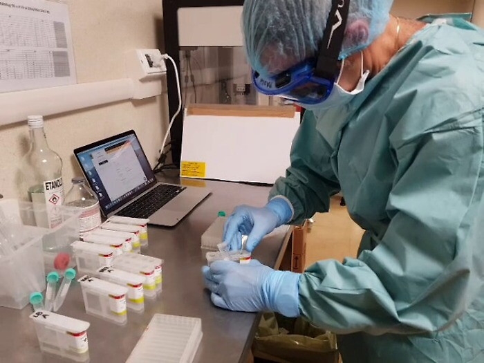 Covid, i numeri del 29 dicembre della pandemia in Sicilia: nuovi positivi salgono a 995