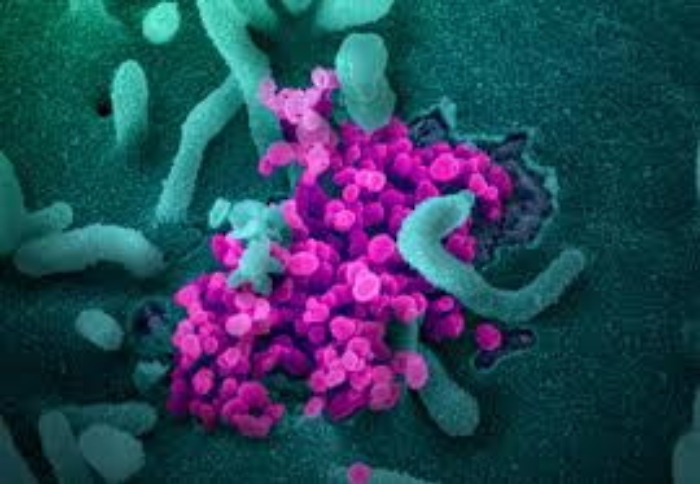 Coronavirus, ad Agrigento calano, finalmente, i contagi