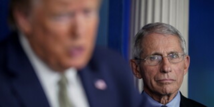 Due prestigiosi riconoscimenti al noto virologo di origini saccensi Anthony Fauci