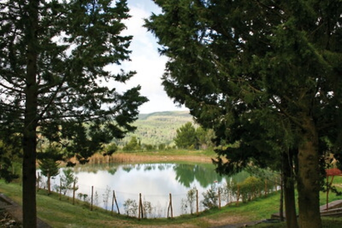 Siccità, dalla Regione contributi a fondo perduto per i laghetti aziendali