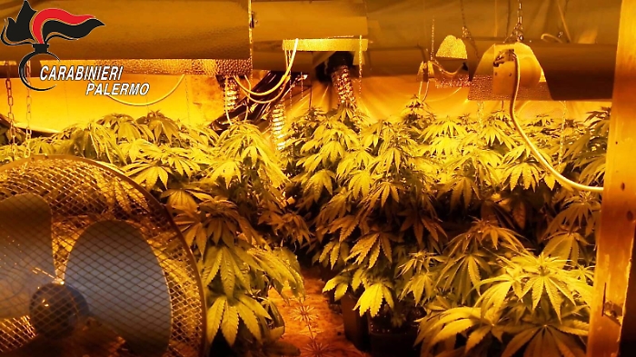 La villetta di Bolognetta adibita a serra per coltivare marijuana