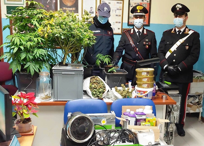 Belpasso, coppia gestiva piantagione di marijuana in casa: un arresto