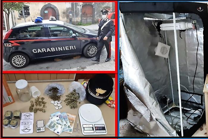 Marijuana nascosta nel forno a pietra in una villetta dell' Acese: un arresto
