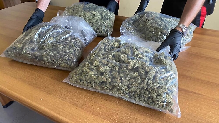 Ragusa, 2 chili di marijuana in una masseria: arrestato “grossista”