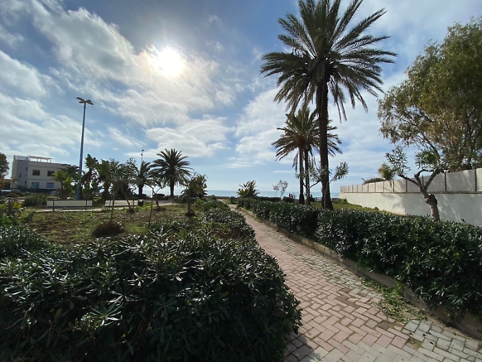 San Leone, proseguono gli interventi al verde pubblico