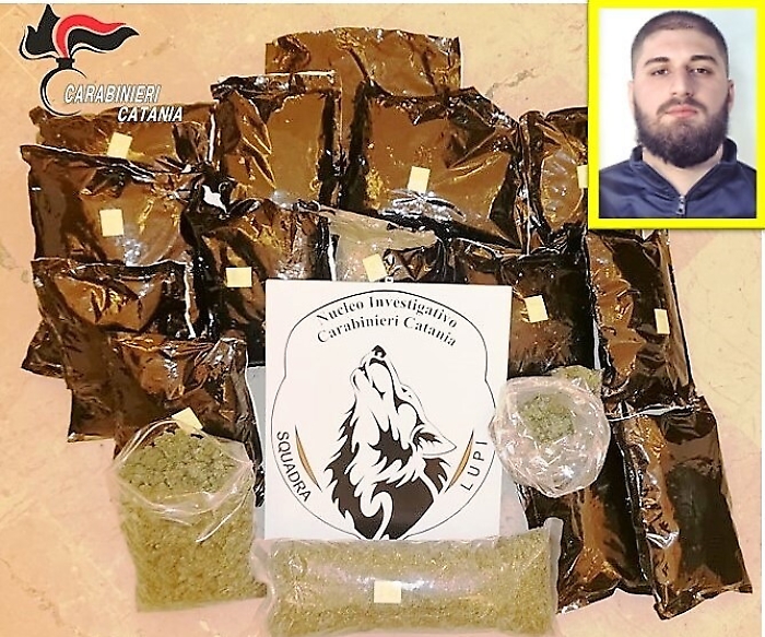 Catania, i Lupi scovano deposito di marijuana: 11 kg sequestrati