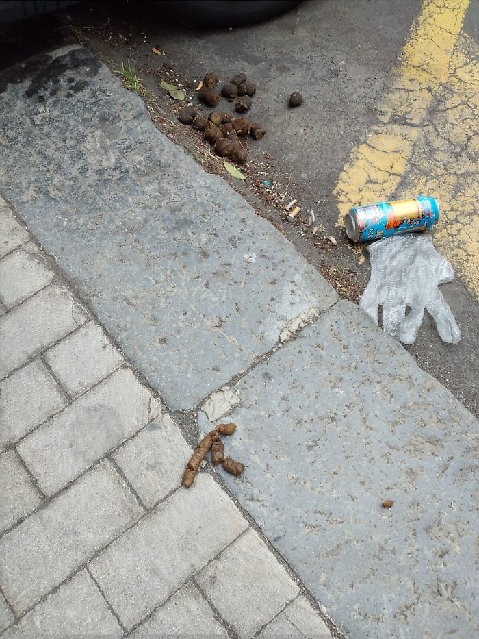 Catania: "Tutte le mattine davanti al mio negozio..."