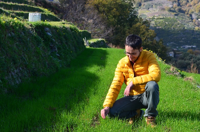 Nino Crupi su una delle terrazze seminate a grani antichi