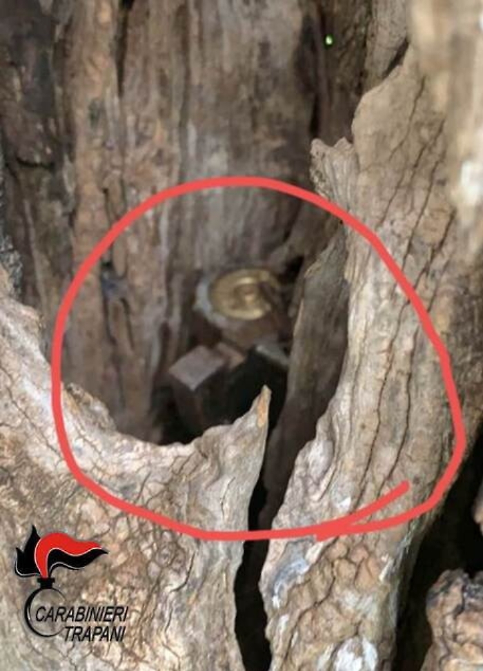 Omicidio ultras nel Trapanese, trovati due fucili nel tronco di un albero