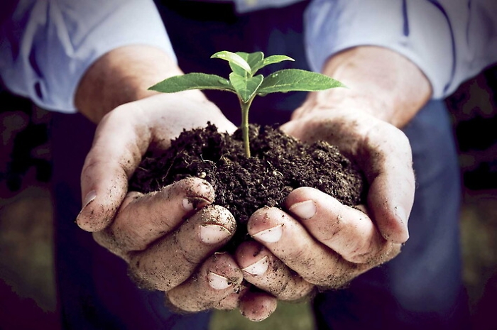 Dalla Banca della Terra 400 ettari ai giovani per 12 progetti a forte carattere siciliano