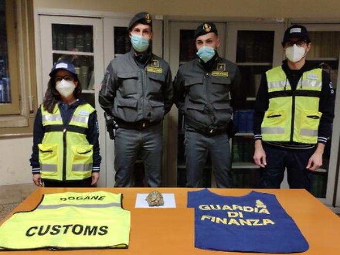 Palermo, tartaruga di specie protetta importata illegalmente dalla Tunisia