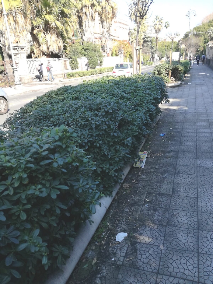 Monnezza e terra lavica, eccovi il salotto catanese