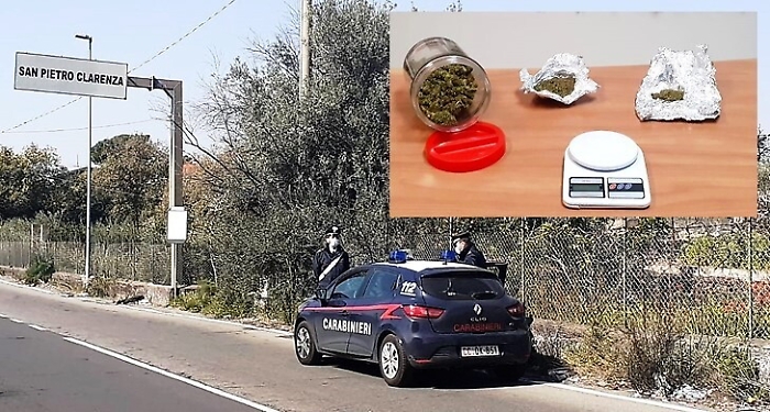 Il cane "King" fiuta la marijuana in mezzo a frutta e verdura: un arresto