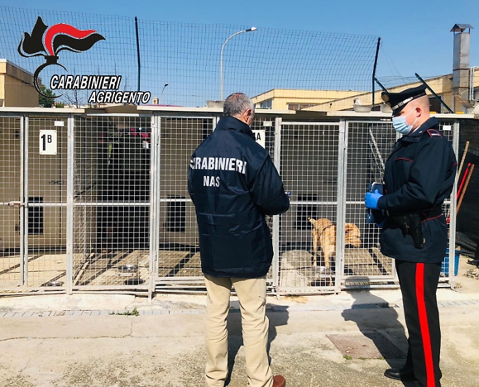 Canicatt&igrave;, il Nas sequestra il canile: &laquo;Ma gli animali sono tenuti bene&raquo;