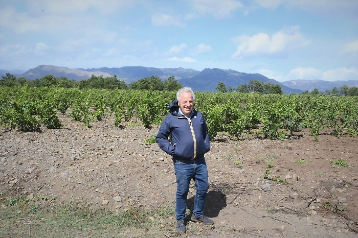 Virlinzi S.p.A. compie 100 anni e festeggia con la nuova azienda "Tenuta Ferrata"