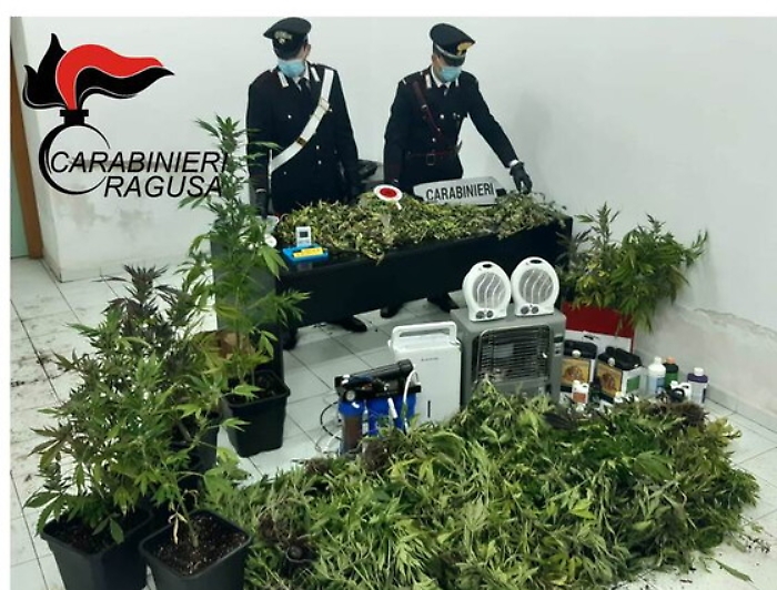 Serra di marijuana in una villa disabitata a Comiso: due arresti