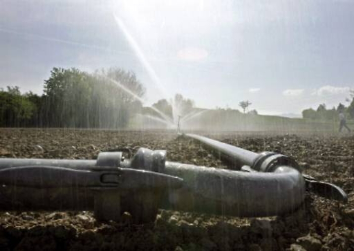 I precari dei consorzi di bonifica ancora senza certezze, la Filbi-Uila: «L'assessore Scilla dia risposte»