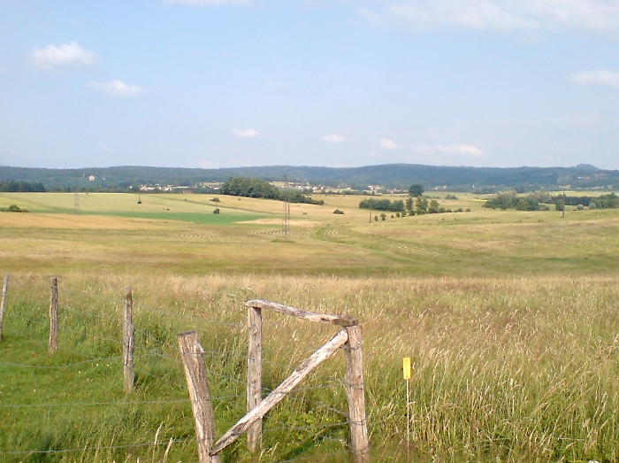 Mafia dei pascoli sui Nebrodi, processo per 104 persone