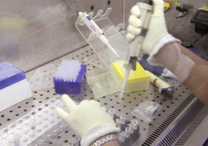 Ricerca: studio italiano, editing genoma verso test su uomo per malattia rara