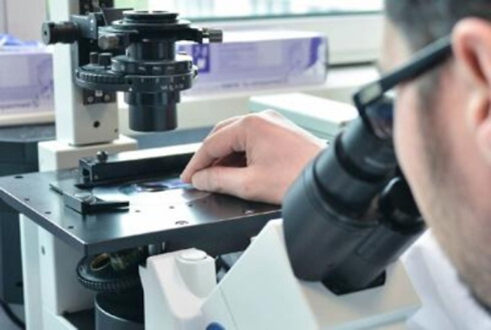 Ricerca: decifrato il genoma del fico