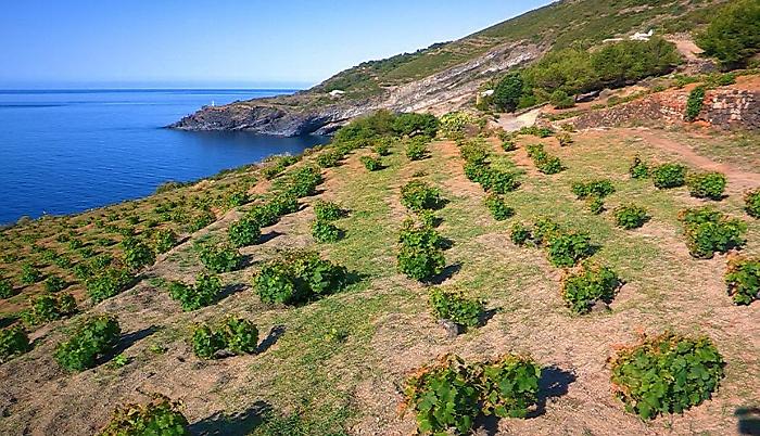 Covid, a Pantelleria imprenditori e commercianti invocano "zona bianca"