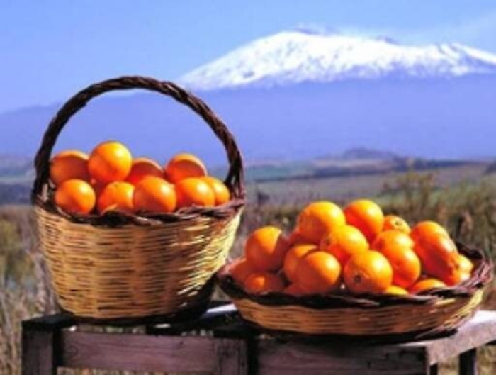 Le arance rosse di Sicilia Igp pronte a sbarcare sulle tavole degli italiani