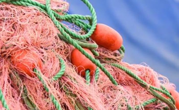 Allarme Mediterraneo, fino a 5 kg di frammenti plastici nello stomaco dei tonni