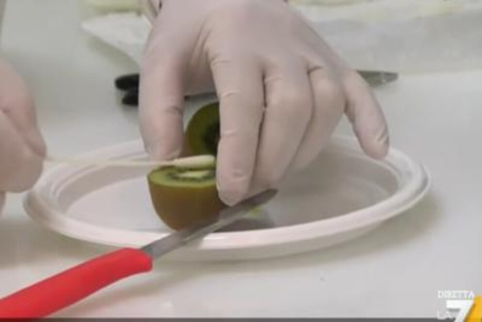 Coronavirus: Bufale.net, 'senza senso e valenza scientifica test rapido su kiwi'