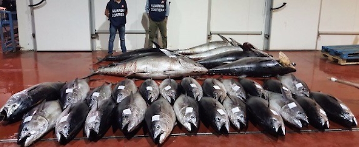 Ogni anno in Italia sequestrate 10 tonnellate di tonno rosso: la maggior parte in Sicilia