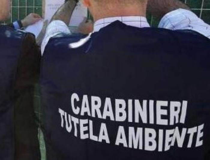 Palermo, traffico e gestione illeciti di rifiuti: 5 arresti