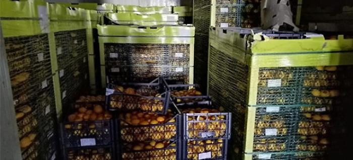 Siracusa,  sequestrati 20mila chili di limoni turchi