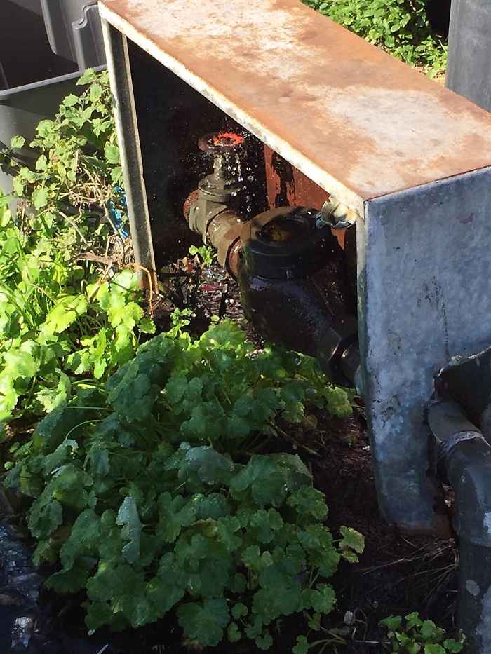 Catania, Piazza Nettuno: contatore Sidra  perde acqua da anni