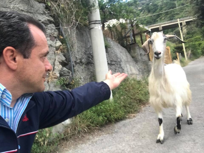 Messina, il sindaco attacca i dirigenti comunali: «Sono capre ignoranti»