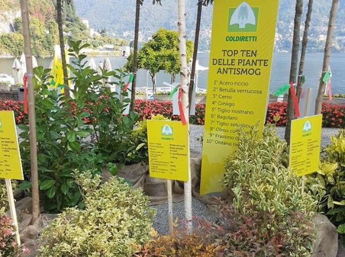 Nasce a Gela la prima oasi mangia-smog cittadina