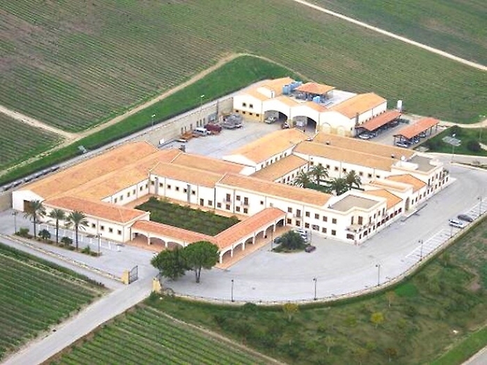 Mafia, la Gdf di Trento sequestra in Sicilia i vigneti di Feudo Arancio