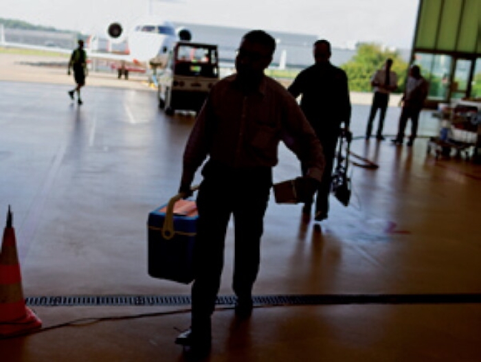 Trapianti, midollo compatibile da Canada e Stati Uniti per due pazienti siciliani