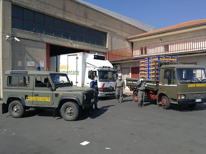 Coronavirus, il corpo forestale di Catania porta 1.200 kg di arance al Banco alimentare