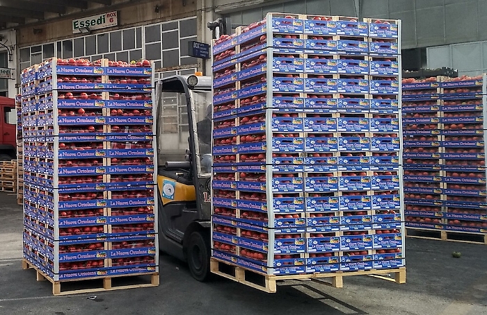 Coronavirus, dalla Sicilia ortaggi per le famiglie di Cremona in difficolt&agrave;