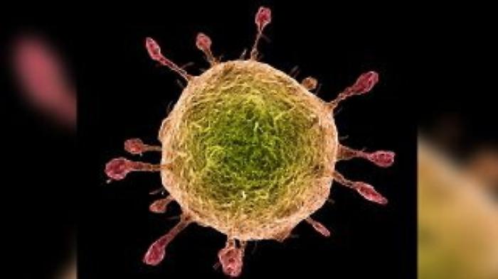 Coronavirus, bimba morta: negativo anche il secondo tampone