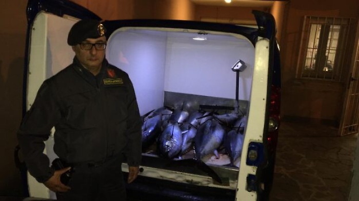Bagheria, tonno e pesce spada non "tracciabili": maxi sequestro della GdF