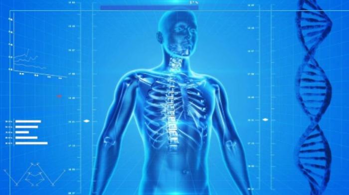 Covid, dall'Università di Catania un software per accelerare la ricerca di un vaccino