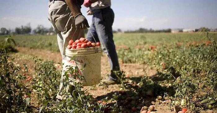 Regolarizzazione degli stranieri, in Sicilia sono almeno 20 mila