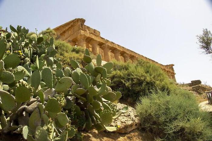 Custodi di bellezza per ricominciare: la nuova sfida sociale del Parco dei Templi