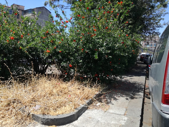 Catania: Largo Mendola non si può più passare a piedi