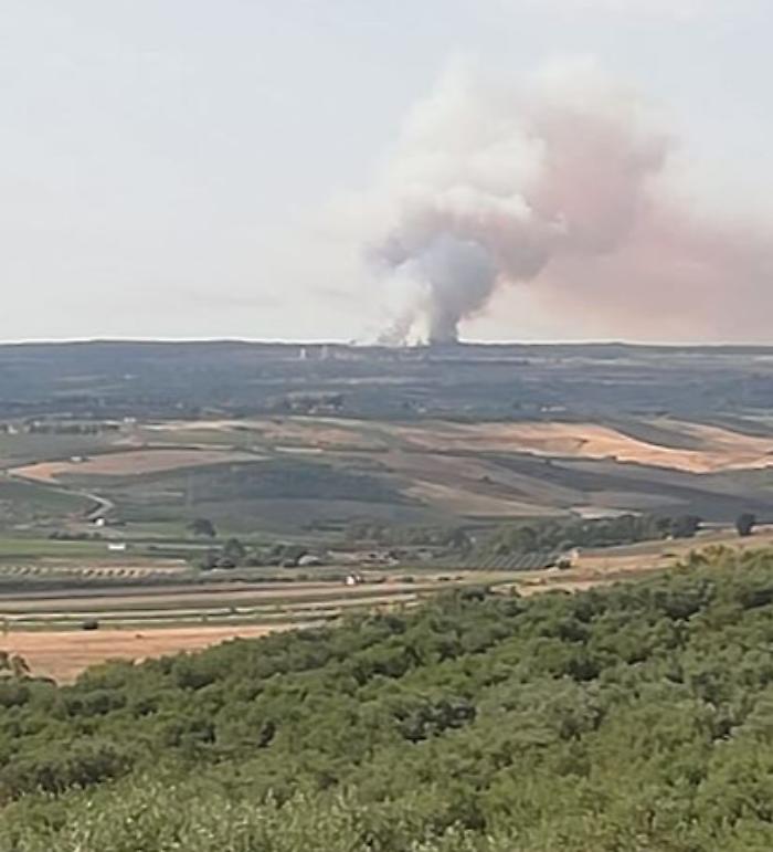 Menfi, in fiamme il bosco del Magaggiaro: ingenti danni all'ambiente